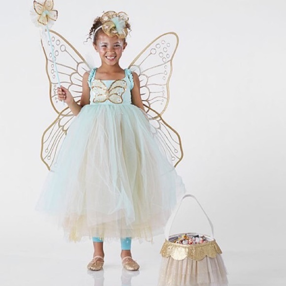 Pottery barn butterfly fairy costume
